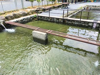 奥多摩で手軽につり体験